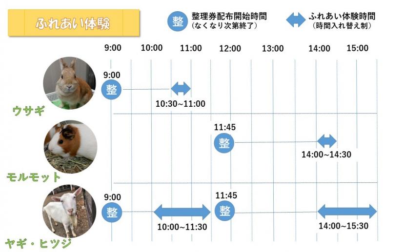 ふれあい体験タイムテーブル