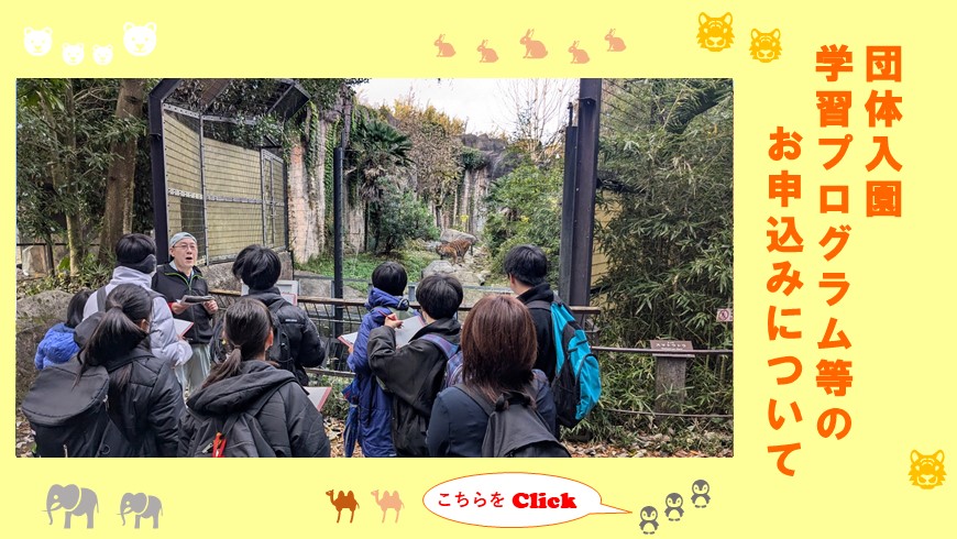団体入園学習プログラム等のお申込みについて