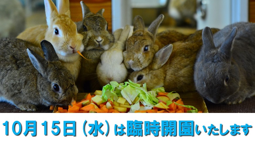 10月15日水曜日は臨時開園いたします