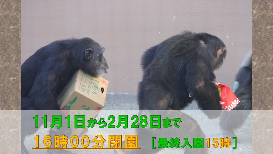 11月から2月の開園時間について