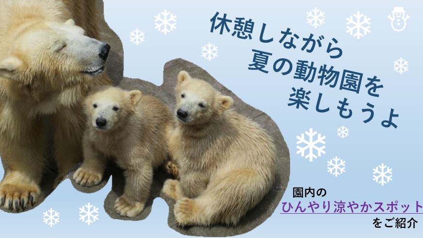 休憩しながら夏の動物園を楽しもうよ