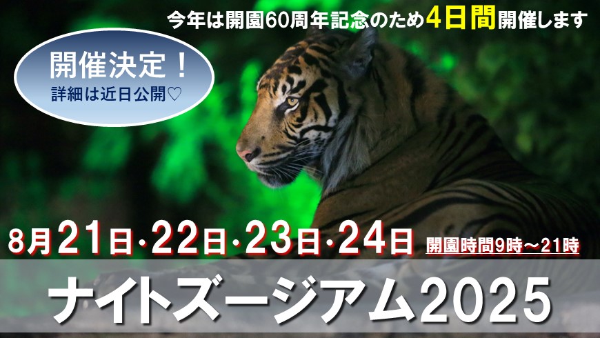 夜間開園ナイトズージアム2025開催決定しました