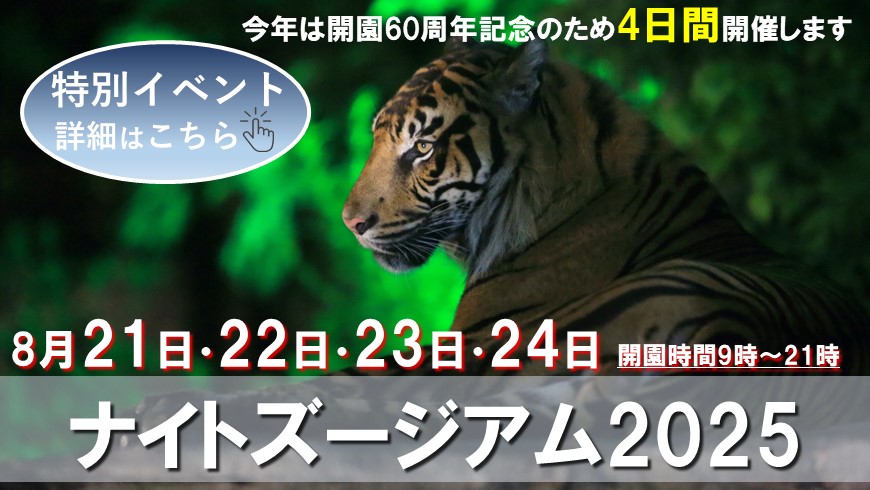 ナイトズージアム2025開催します
