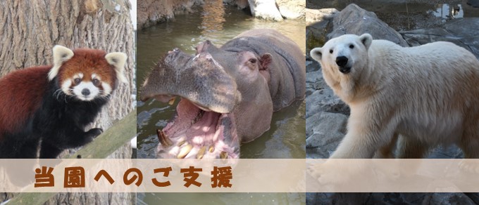当園へのご支援をお願いします