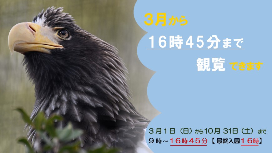 3月から16時45分まで観覧できます