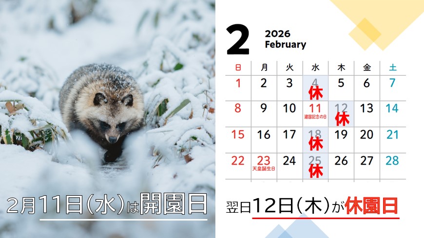 2月の休園日のおしらせ