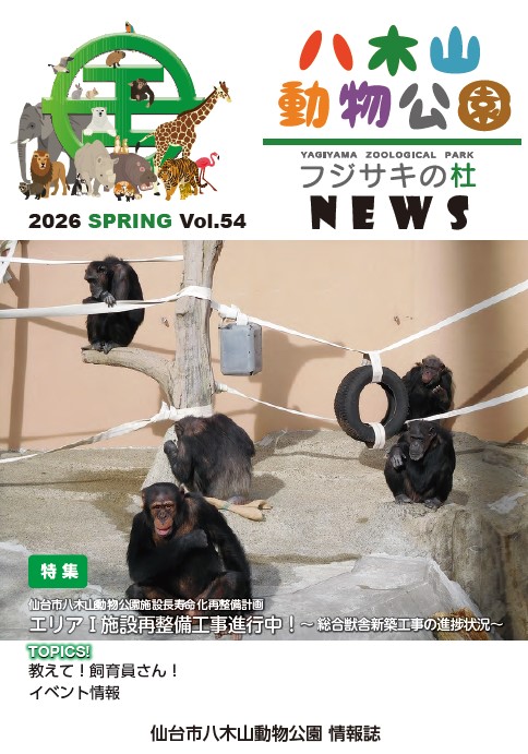 54号