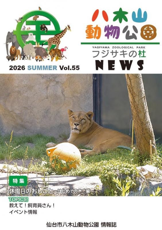 2026年夏号