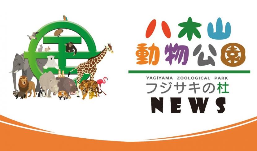 情報誌