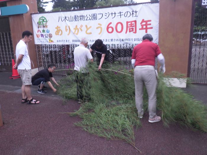 笹を準備中