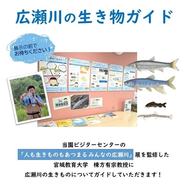 広瀬川の生き物ガイド