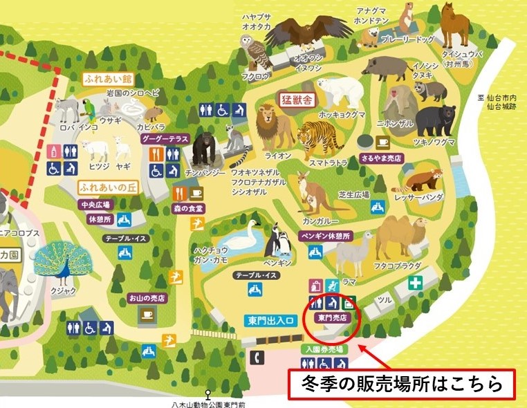 冬季期間サルエサ販売場所