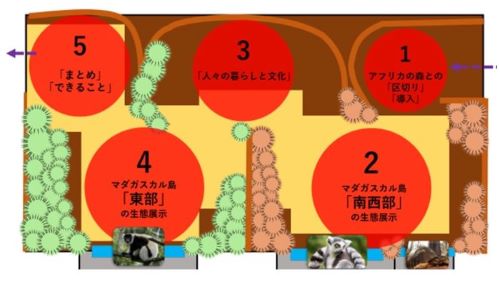 マダカスカルゾーンの平面プランのイメージ図