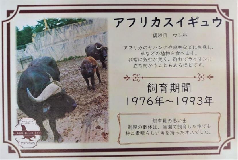 スイギュウの説明パネル