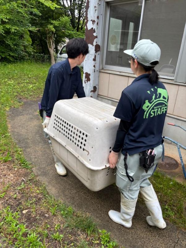 シジュウカラガンの入ったゲージ
