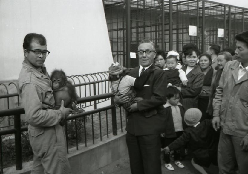 チンパンジーを抱く当時の市長の様子