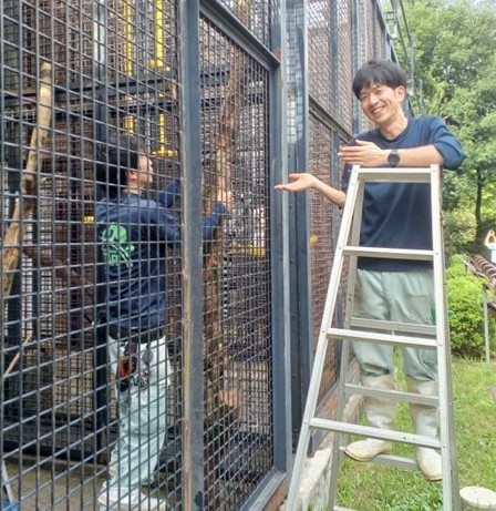 仮置きした枝を縛っていく飼育員
