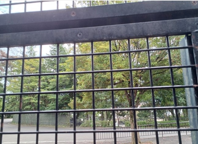 新しく見えるようになった景色