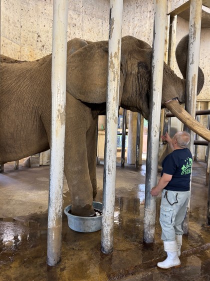 当初タライを使って薬浴するベン
