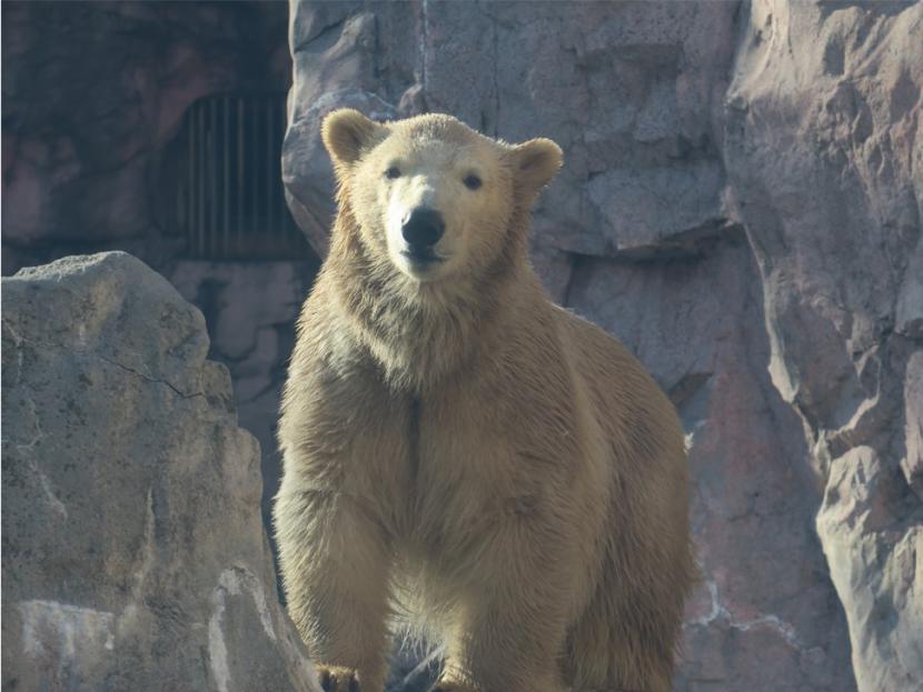 ガラス越しのうみ