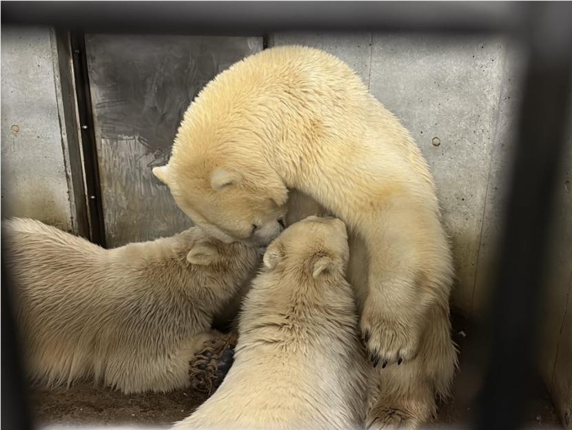 寝室で授乳をする様子