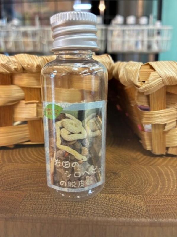 キーパーズコレクションで販売していたシロヘビの抜け殻