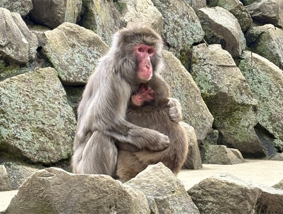 身を寄せ合うペドロとエリカ