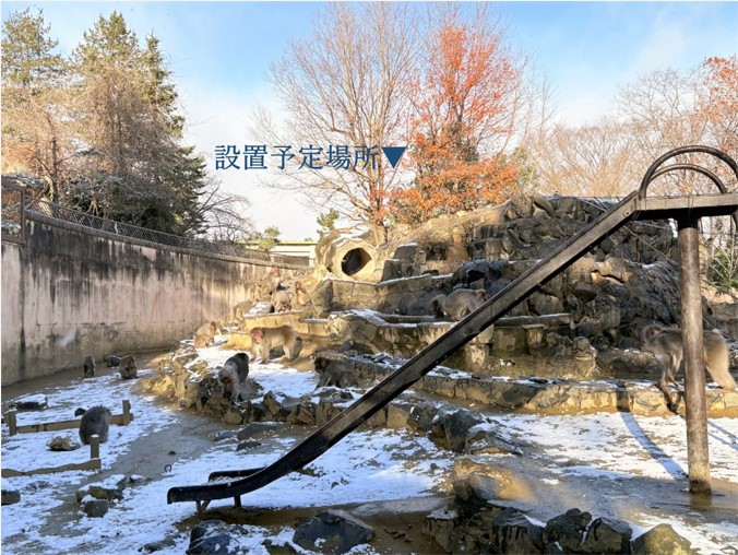 当園のサル山と設置個所