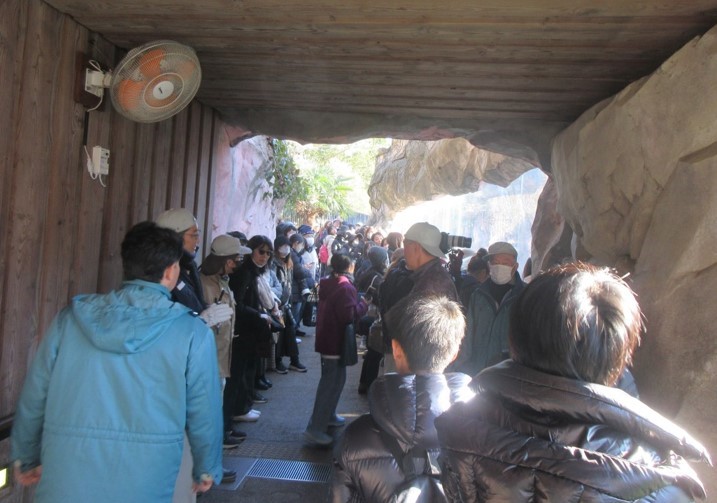 初めての「カイ」の誕生日会とあって、たくさんの来園者にお祝いしていただきました