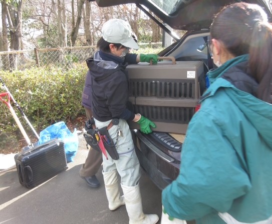 慎重に「アケビ」を運ぶ飼育担当者