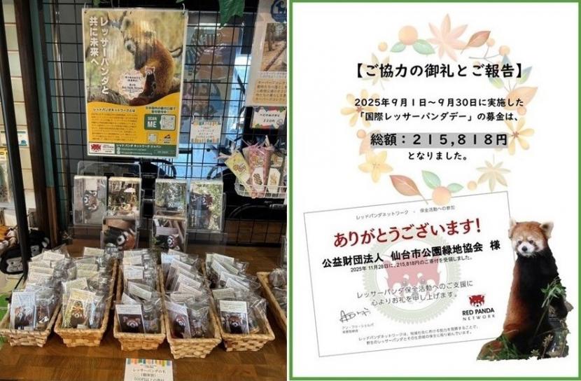 寄付付きレッサーパンダオリジナルグッズ（左）と感謝レター（右）