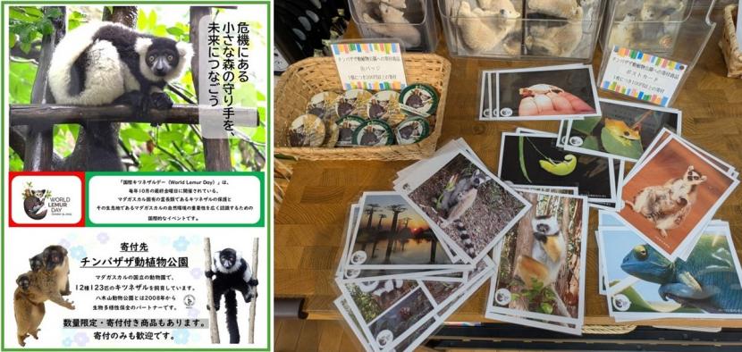 募金啓発ポスター（左）と寄付付きマダガスカルオリジナルグッズ（右）
