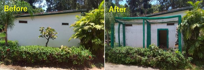 屋外運動場のない改修前の獣舎（ビフォー左）と支援により屋外運動場を増設（アフター右）