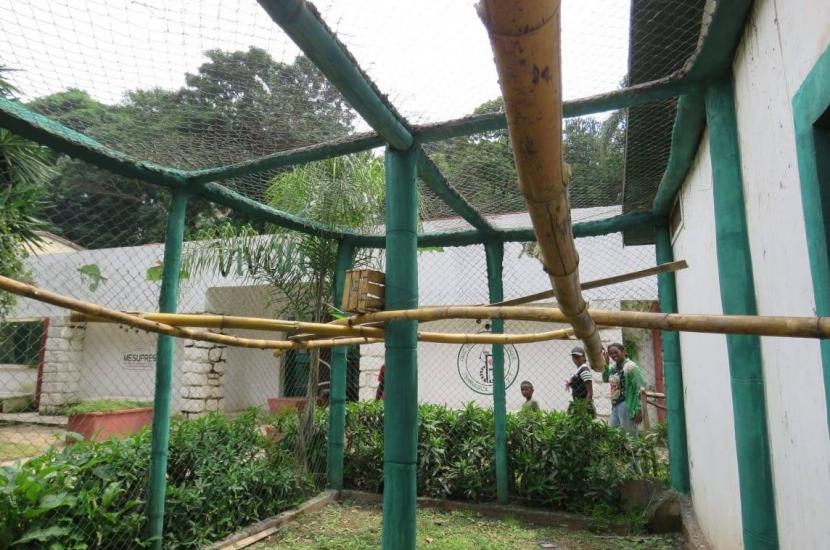 増設された運動場内部