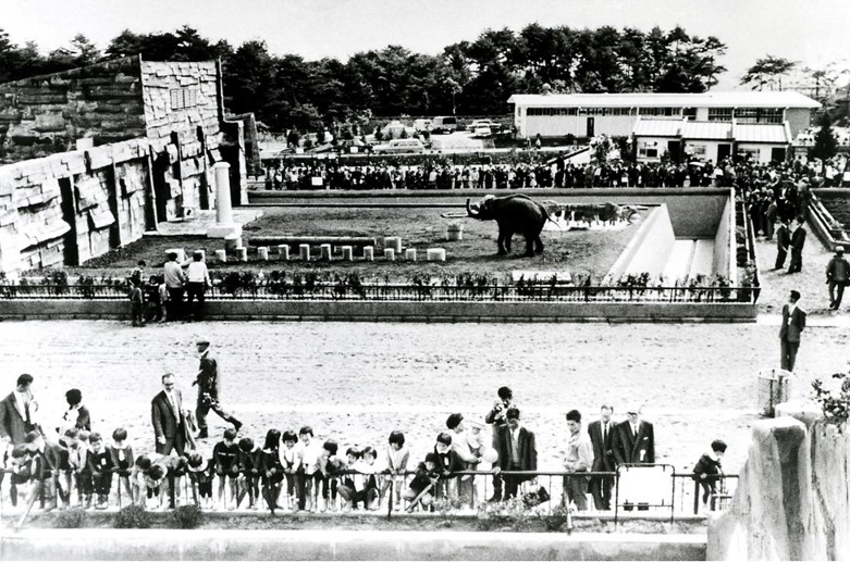 開園時のインドゾウ舎