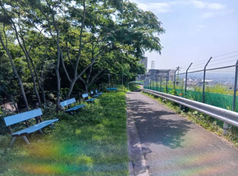 新しい園路