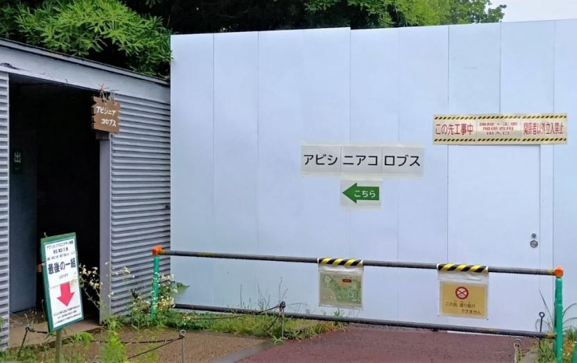 アビシニアコロブスまでご覧可能です
