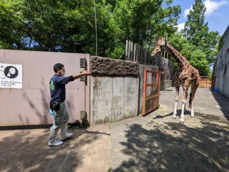 ブログ　エミリー放飼場デビュー5