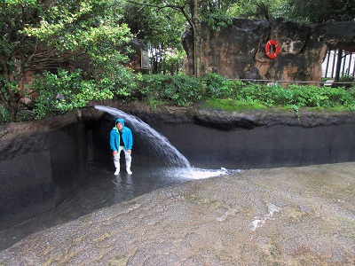 プールに水を溜めています