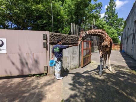 ブログ　エミリー放飼場デビュー6