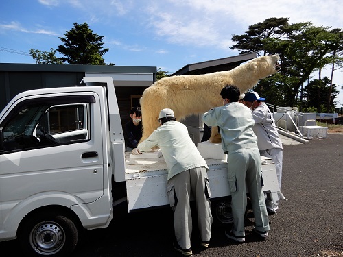 ブログ　剥製の燻蒸3