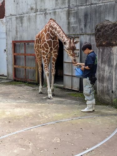 ブログ2　エミリー見守り隊