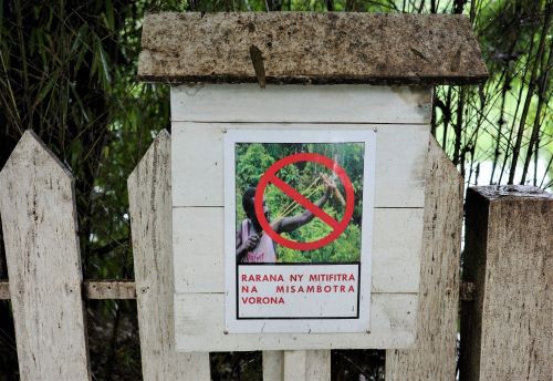 園長ブログ　マダガスカル訪問記3　鳥捕獲禁止