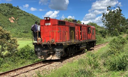 園長ブログ　マダガスカル訪問記7　突然現れた列車