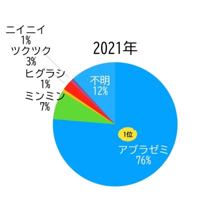 R5　セミのぬけがら調査結果　2021内訳