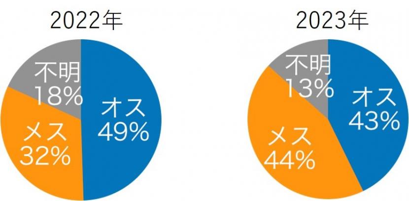 R5　セミのぬけがら調査結果　性別