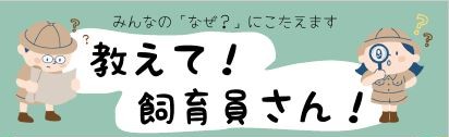 教えて飼育員さん