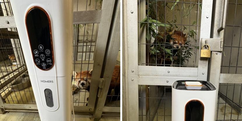 レッサーパンダの加湿器